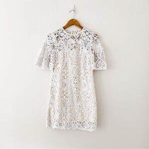 Amur white lace mini dress size 2